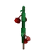 Cranberry