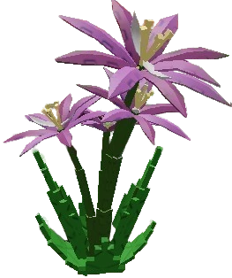 Paradise Petal