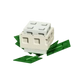 Cauliflower